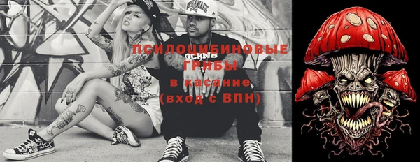 2c-b Богородицк