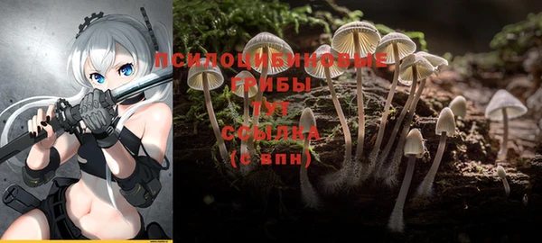 амфетамин Богородск