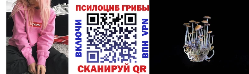 Псилоцибиновые грибы ЛСД Дзержинский