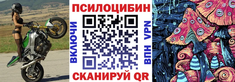 blacksprut tor  хочу   Дзержинский  Галлюциногенные грибы Cubensis 
